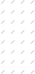 shape-copy-4